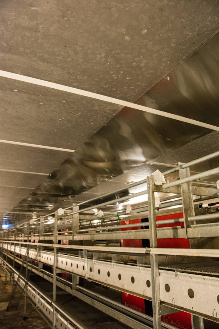 Závěsný podhled z izolačních desek termPIR AGRO P — | BOKKA